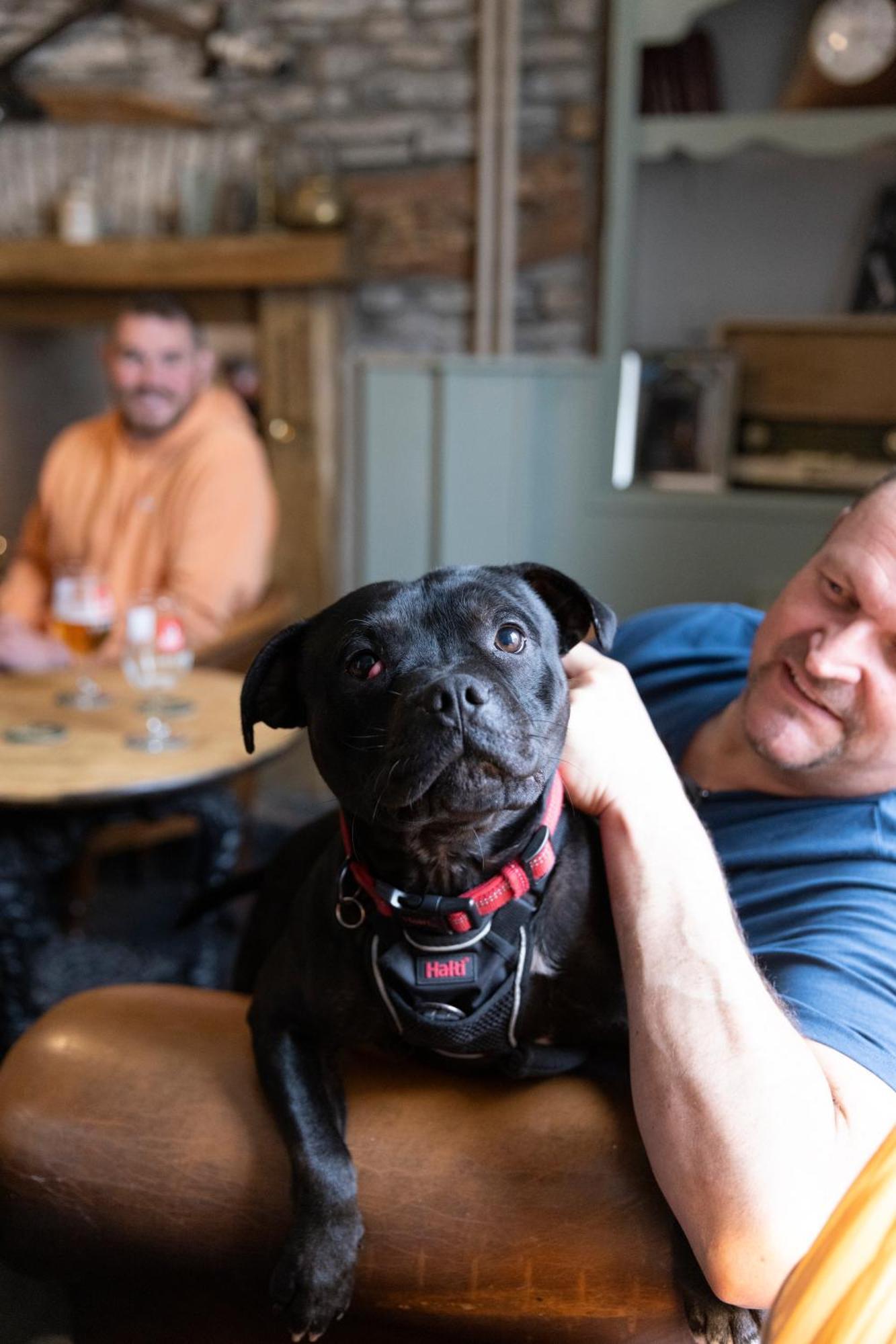 The Bear Inn Llantrisant  Exteriér fotografie